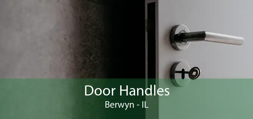 Door Handles Berwyn - IL