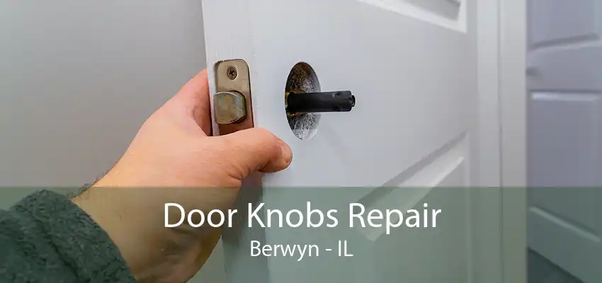 Door Knobs Repair Berwyn - IL