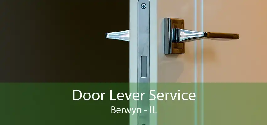 Door Lever Service Berwyn - IL